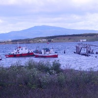 Foto de Puerto Natales