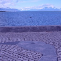 Foto de Puerto Natales