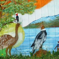 Foto de Puerto Natales