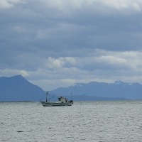 Foto de Puerto Natales