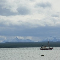 Foto de Puerto Natales