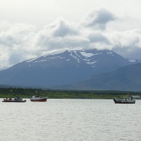 Foto de Puerto Natales