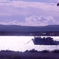 Foto de Puerto Natales