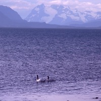 Foto de Puerto Natales