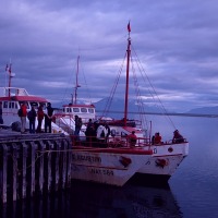 Foto de Puerto Natales
