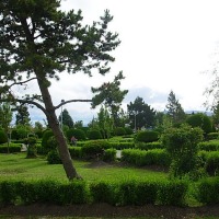 Foto de Puerto Natales