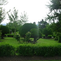 Foto de Puerto Natales
