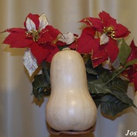 Foto de Jerez de la Frontera