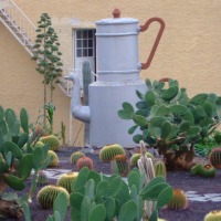 Foto de Molino de Viento