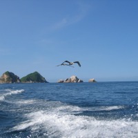 Foto de Barra de Navidad, Jalisco