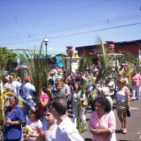 Foto de Desamparados - San José
