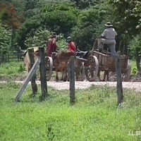 Foto de Sandillal (Guanacaste)