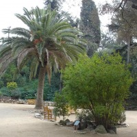 Foto de Barcelona