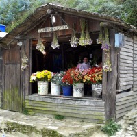 Foto de Caracas