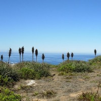 Foto de Cantalao - El Quisco