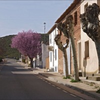 Foto de Arcos de Jalón