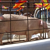 Foto de Arcos de Jalón