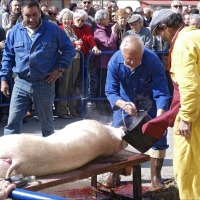Foto de Arcos de Jalón