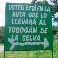 Foto de Amazonas