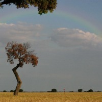 Foto de Palencia