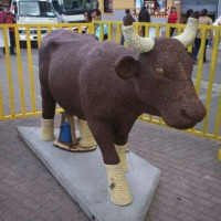 Foto de San José
