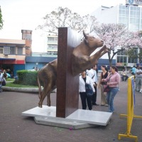 Foto de San José