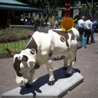 Foto de San José