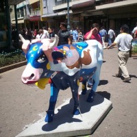Foto de San José
