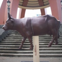 Foto de San José