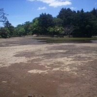 Foto de Fraijanes (Alajuela)
