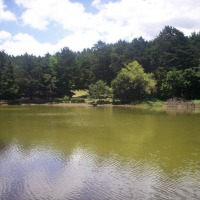 Foto de Fraijanes (Alajuela)