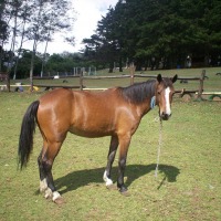 Foto de Fraijanes (Alajuela)