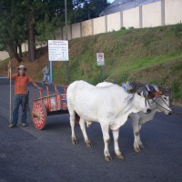 Foto de San Isidro (Alajuela)