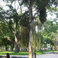 Foto de Valencia