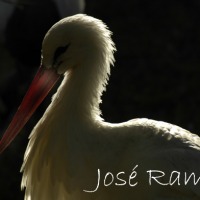 Foto de Cádiz
