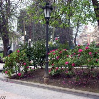 Foto de Oviedo
