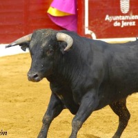 Foto de Jerez de la Frontera