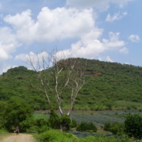 Foto de Ayotlan