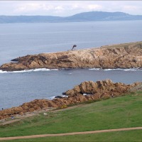 Foto de A Coruña