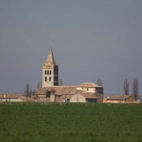 Foto de Gatón de Campos