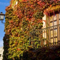 Foto de Comillas
