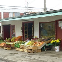 Foto de La Ligua