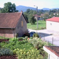 Foto de Robache