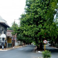 Foto de Asunción