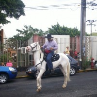 Foto de Alajuela