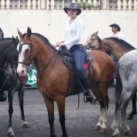 Foto de Alajuela