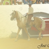 Foto de Algar