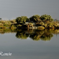 Foto de Cádiz