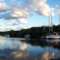 Foto de Colonia