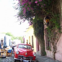 Foto de Colonia